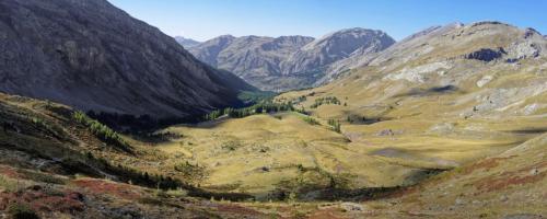 CHARTTON-FABIEN-Vallon de plate lombarde 04