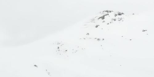 _FCH0879